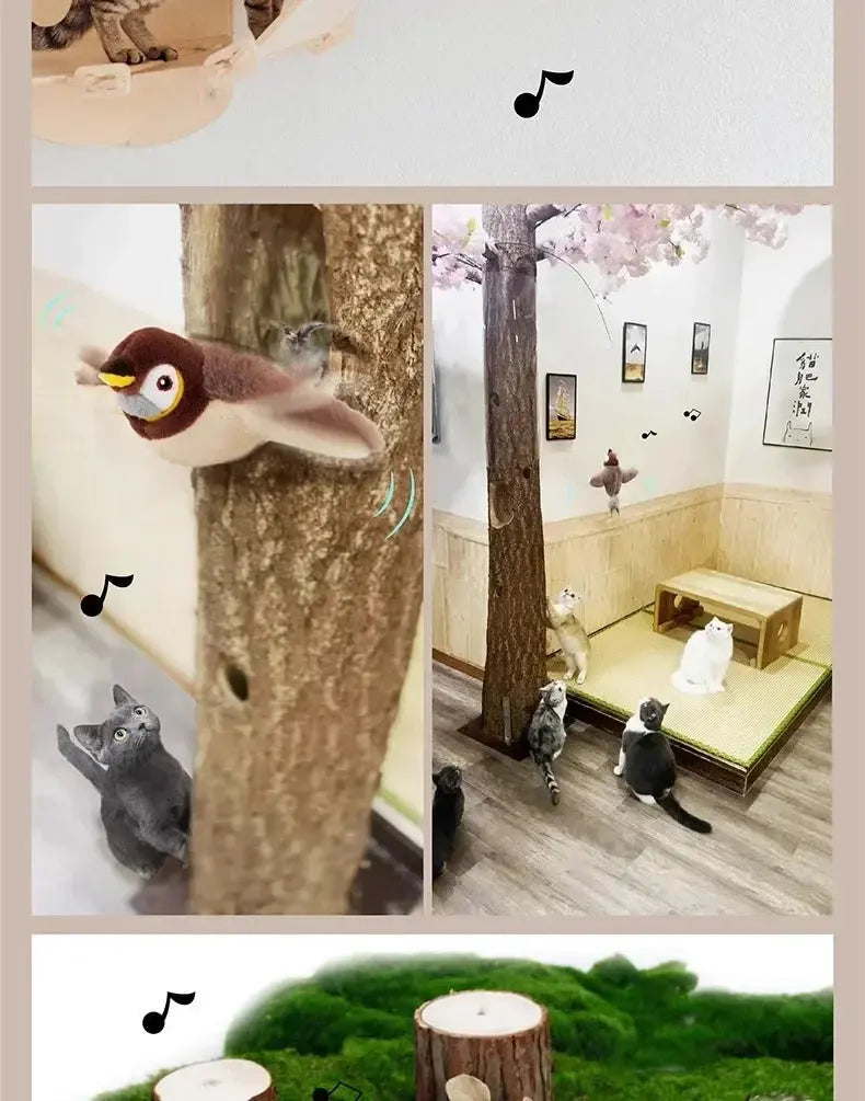 Interaktives Vogel-Katzenspielzeug mit Bewegungssensor - Wiederaufladbar & Klappbar - Fellnasenliebe123