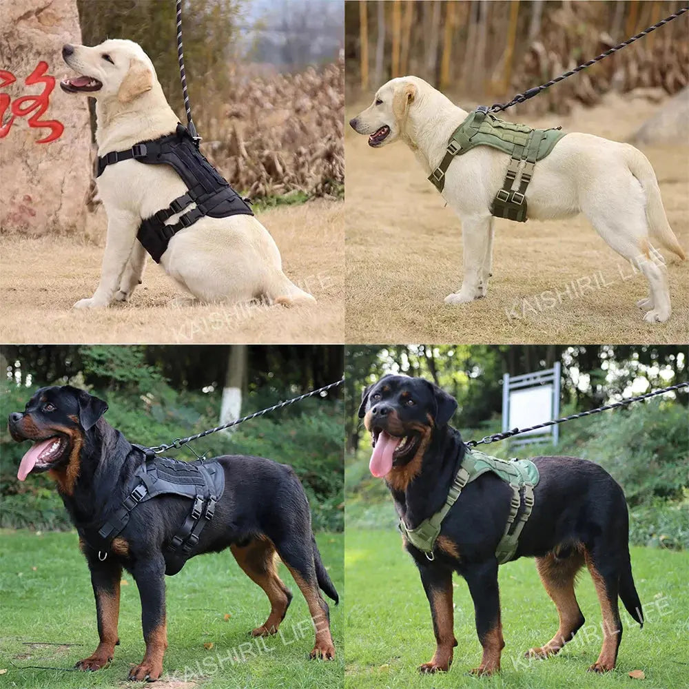 Militärisches großes Hundegeschirr Haustier Deutscher Schäferhund Trainingsweste Taktisches Hundegeschirr und Leine-Set für Hundezubehör Fellnasenliebe123