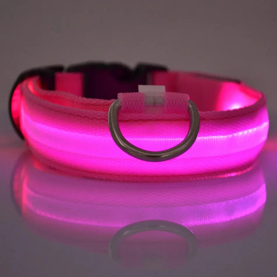 Nylon LED Nacht Sicherheit blinkende Glow In The Dark Hundeleine Hunde leuchtende fluoreszierende Haustier Hundehalsband Fellnasenliebe123