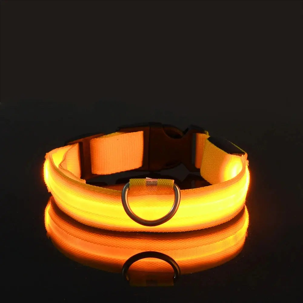 Nylon LED Nacht Sicherheit blinkende Glow In The Dark Hundeleine Hunde leuchtende fluoreszierende Haustier Hundehalsband Fellnasenliebe123