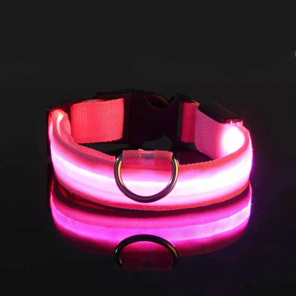 Nylon LED Nacht Sicherheit blinkende Glow In The Dark Hundeleine Hunde leuchtende fluoreszierende Haustier Hundehalsband Fellnasenliebe123