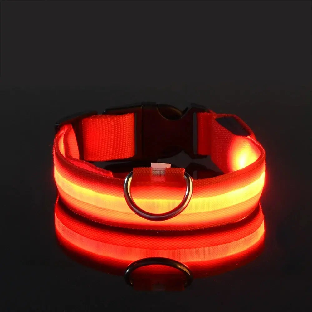 Nylon LED Nacht Sicherheit blinkende Glow In The Dark Hundeleine Hunde leuchtende fluoreszierende Haustier Hundehalsband Fellnasenliebe123