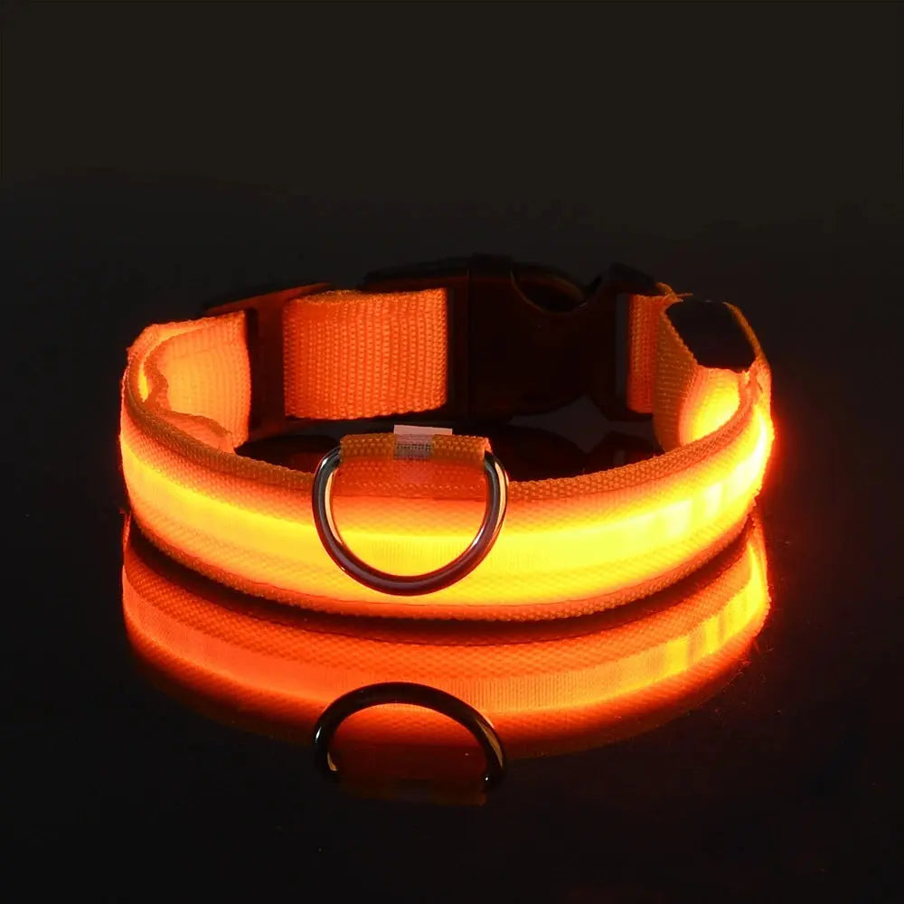 Nylon LED Nacht Sicherheit blinkende Glow In The Dark Hundeleine Hunde leuchtende fluoreszierende Haustier Hundehalsband Fellnasenliebe123