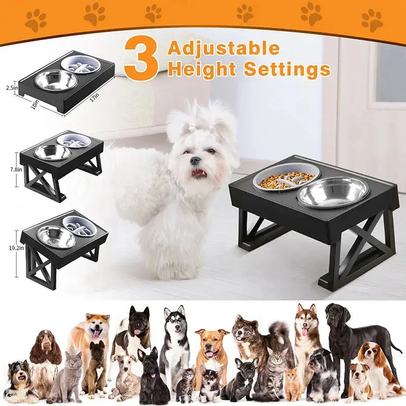 Ergonomischer Futternapf mit 15° Neigungswinkel für gesunde Hundehaltung