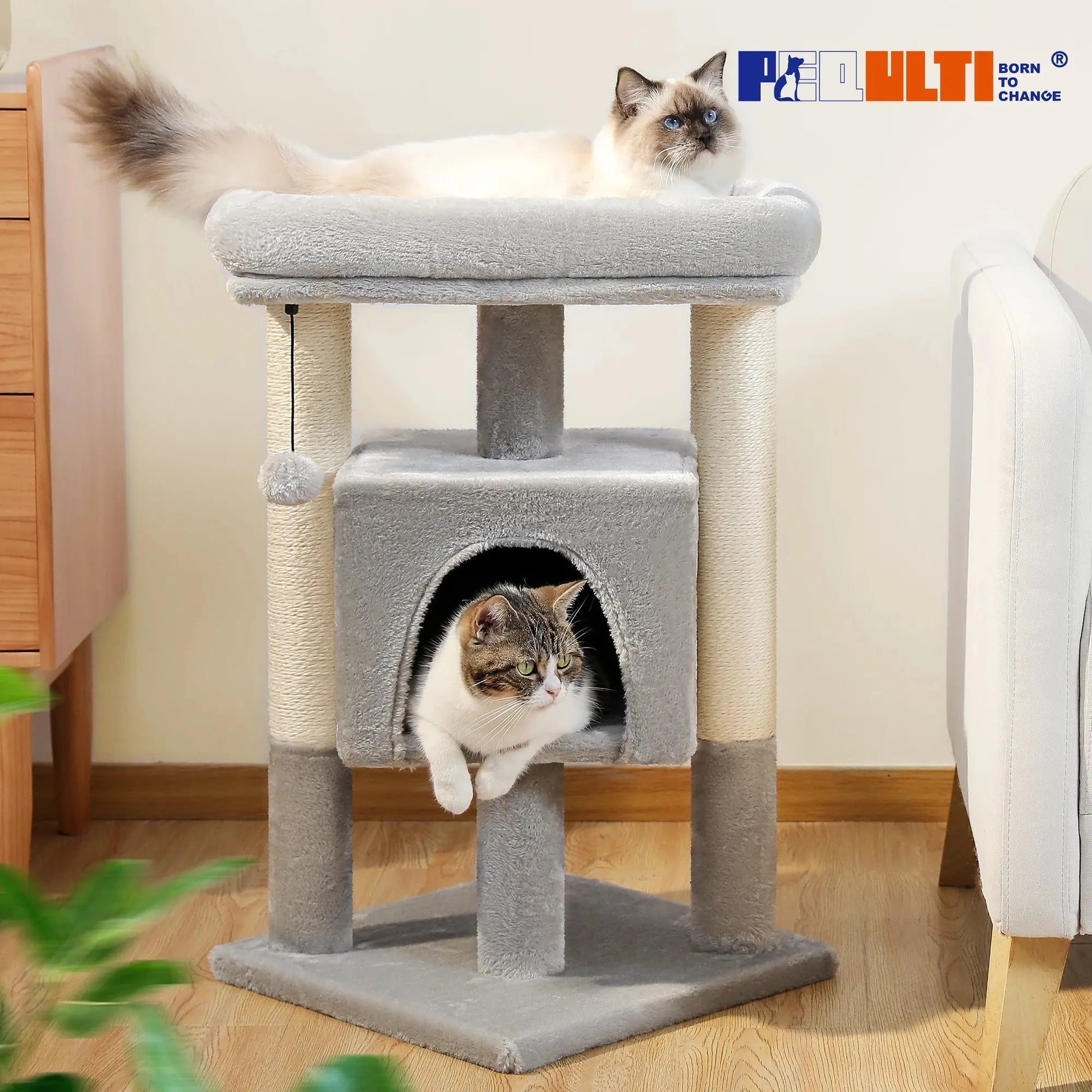 Kratzbaumturm für Hauskatzen mit privatem, gemütlichem Katzenwohnung, doppelter großer Sitzstange mit Kratzbäumen für Kätzchen Fellnasenliebe123