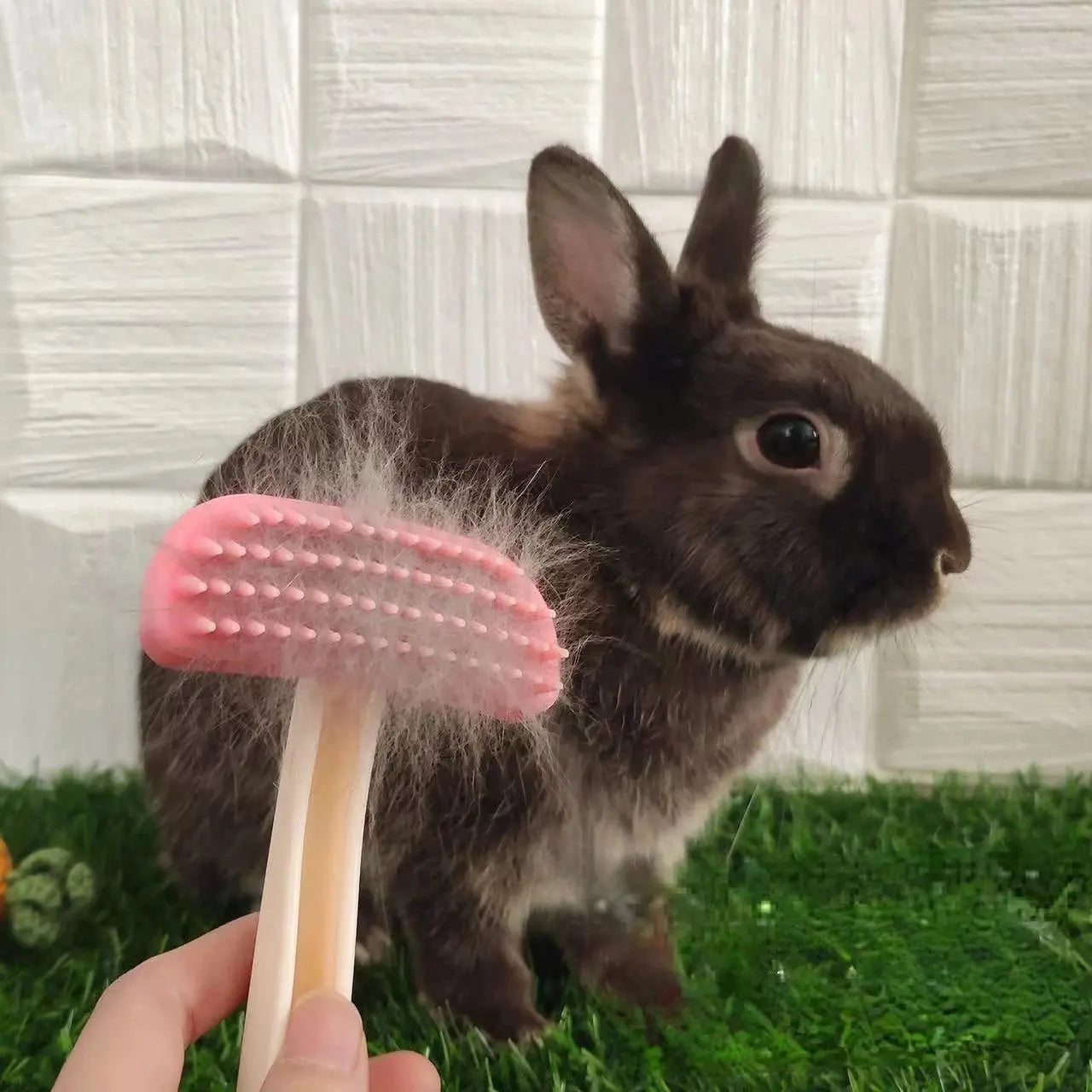 Silikon-Haustierkamm für Kaninchen & Kleintiere - Sanfte Fellpflege-Bürste - Fellnasenliebe123