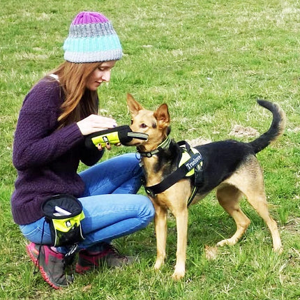 Truelove Leckerli-Beutel Snack Dummy Neongelb – S bis XL, Reißverschluss, robust