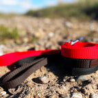 Braun / POP - Band / 16 mm