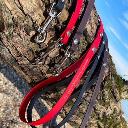 Hundeleine UM'S ECK (1,50 m) aus BioThane®/POP - Band