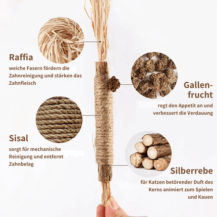 ZAHNLIEBE - Die Katzen Zahnpflege für gesunde Zähne