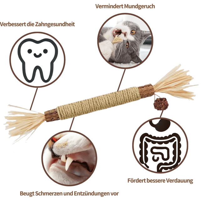 ZAHNLIEBE - Die Katzen Zahnpflege für gesunde Zähne