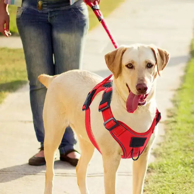 Anti-Zug Hundegeschirr mit Locator - Verstellbar für mittelgroße & große Hunde - Fellnasenliebe123