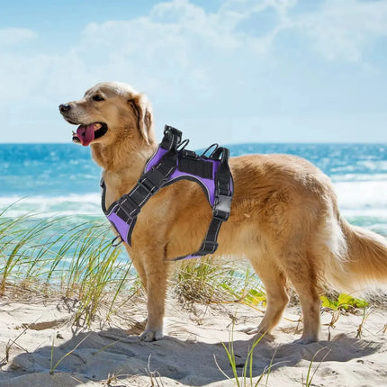 Anti-Zug Hundegeschirr mit Locator - Verstellbar für mittelgroße & große Hunde - Fellnasenliebe123