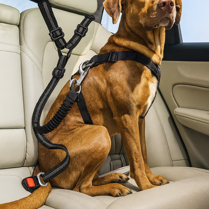 Hunde-Sicherheitsgurt Auto  Verstellbar bis 50kg