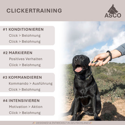 ASCO Premium Clicker für Hunde und Katzen Clickertraining