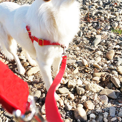 Doppelleine TECHTELMECHTEL aus BioThane®/Pop - Band