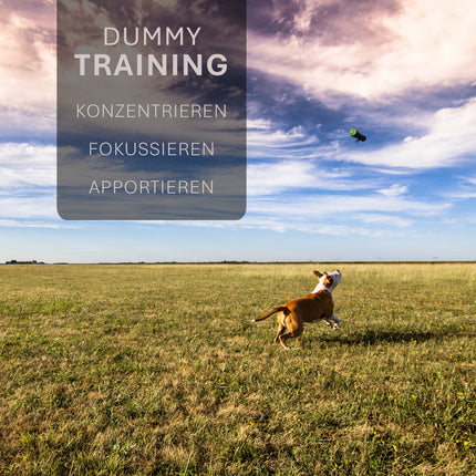 ASCO Dummy für Hundetraining, Apportier- und Snack-Dummy 21x7 cm