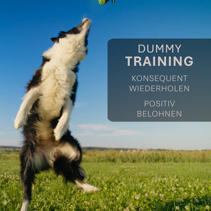 ASCO Dummy für Hundetraining, Apportier- und Snack-Dummy 21x7 cm