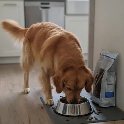 Eurital Dog Choice- Schwein mit Süßkartoffel und Apfel