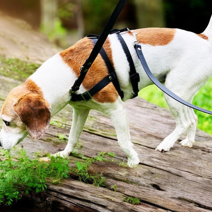 STURMFREI® Saver – Patentierte Front-Führung & Extra-Sicherung - für kleine bis mittlere Hunde