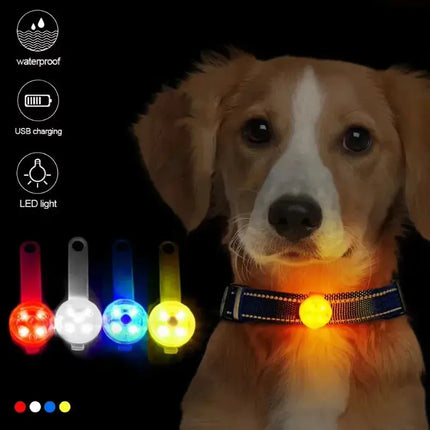 Hundehalsband, Verlusthalsband, wetterfestes LED-Sicherheitslicht, über USB wiederaufladbares LED-Lichthalsband, Hund, Katze, Haustier Fellnasenliebe123