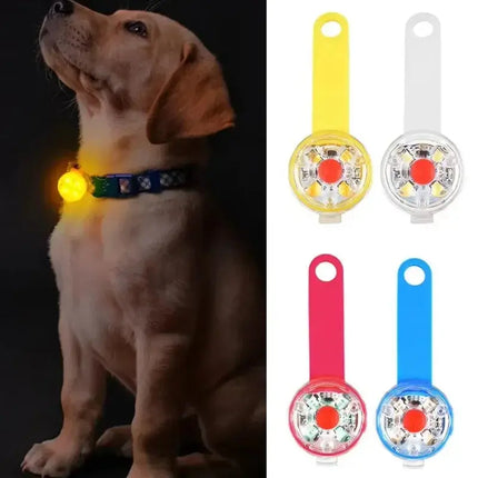 Hundehalsband, Verlusthalsband, wetterfestes LED-Sicherheitslicht, über USB wiederaufladbares LED-Lichthalsband, Hund, Katze, Haustier Fellnasenliebe123