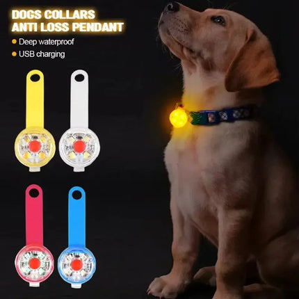 Hundehalsband, Verlusthalsband, wetterfestes LED-Sicherheitslicht, über USB wiederaufladbares LED-Lichthalsband, Hund, Katze, Haustier Fellnasenliebe123