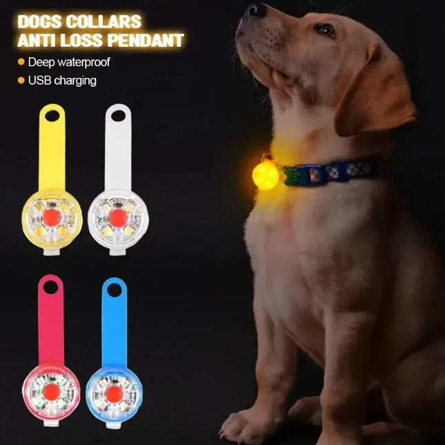 Hundehalsband, Verlusthalsband, wetterfestes LED-Sicherheitslicht, über USB wiederaufladbares LED-Lichthalsband, Hund, Katze, Haustier Fellnasenliebe123