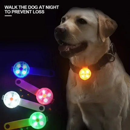 Hundehalsband, Verlusthalsband, wetterfestes LED-Sicherheitslicht, über USB wiederaufladbares LED-Lichthalsband, Hund, Katze, Haustier Fellnasenliebe123