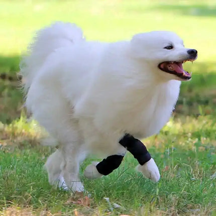 Sportbandage für Hunde