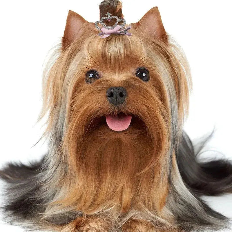 Hundezubehör, Haustierpflege für Welpen, Katzen, Hunde, Haarspange, Krone, Schleife, Haustier-Haarnadeln, Hund, mehrfarbig, Katze, Kopfbedeckung, Haustierzubehör Fellnasenliebe123