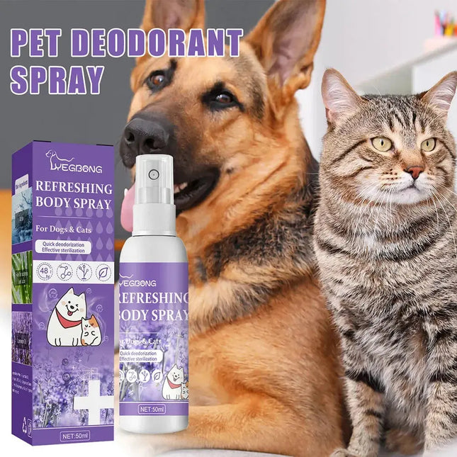 Lavendelöl Hund Deodorant Spray langlebige Welpen Katzen Hunde für stinkende desodor ie rende Parfüm Spray entfernen Geruch frische Luft Fellnasenliebe123