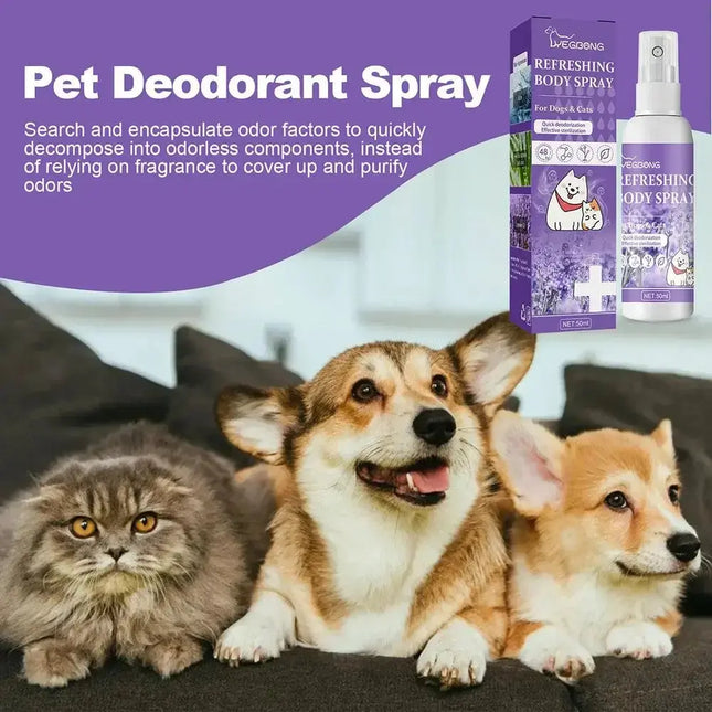 Lavendelöl Hund Deodorant Spray langlebige Welpen Katzen Hunde für stinkende desodor ie rende Parfüm Spray entfernen Geruch frische Luft Fellnasenliebe123