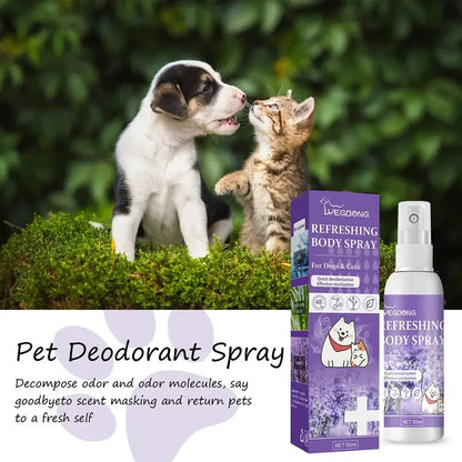 Lavendelöl Hund Deodorant Spray langlebige Welpen Katzen Hunde für stinkende desodor ie rende Parfüm Spray entfernen Geruch frische Luft Fellnasenliebe123