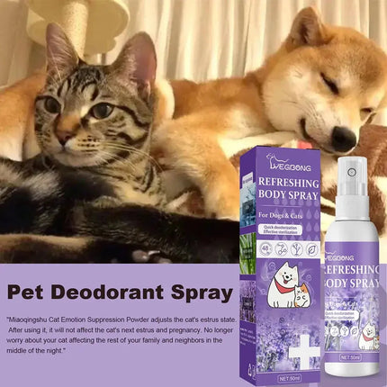 Lavendelöl Hund Deodorant Spray langlebige Welpen Katzen Hunde für stinkende desodor ie rende Parfüm Spray entfernen Geruch frische Luft Fellnasenliebe123