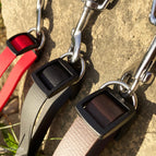 Rot / BioThane® - 16 mm / 7 m - 3.5 m pro Hund/Seite