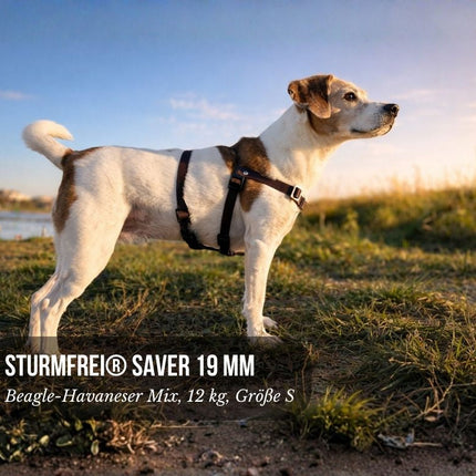 STURMFREI® Saver – Patentierte Front-Führung & Extra-Sicherung - für kleine bis mittlere Hunde
