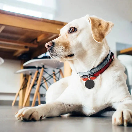 Mini GPS Tracker Gerät Anti-Verloren Erinnerung Für Haustier Kinder Tasche Schlüssel Brieftasche Smart Bluetooth Verbunden IOS/Android App finder Locator Fellnasenliebe123