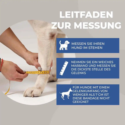 Durchtrittigkeits Bandage für Hunde mit Turbocast