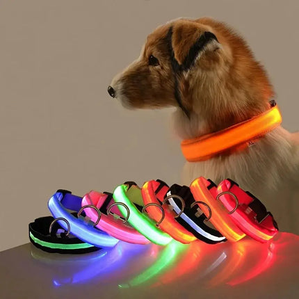 Nylon LED Nacht Sicherheit blinkende Glow In The Dark Hundeleine Hunde leuchtende fluoreszierende Haustier Hundehalsband Fellnasenliebe123