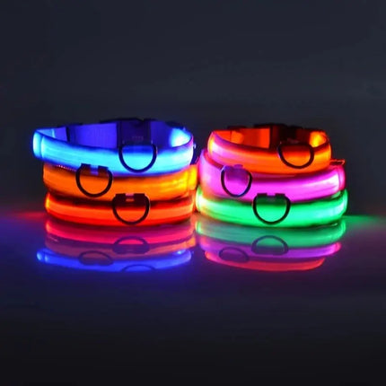 Nylon LED Nacht Sicherheit blinkende Glow In The Dark Hundeleine Hunde leuchtende fluoreszierende Haustier Hundehalsband Fellnasenliebe123