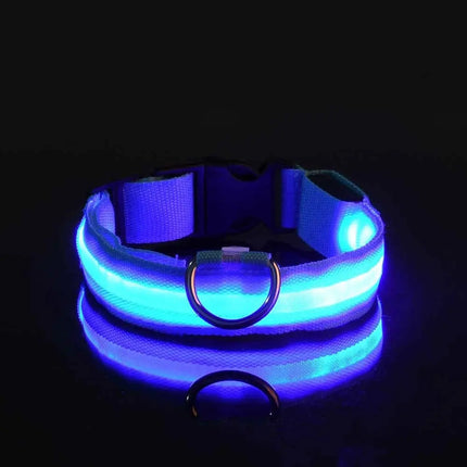Nylon LED Nacht Sicherheit blinkende Glow In The Dark Hundeleine Hunde leuchtende fluoreszierende Haustier Hundehalsband Fellnasenliebe123