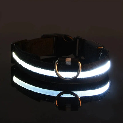 Nylon LED Nacht Sicherheit blinkende Glow In The Dark Hundeleine Hunde leuchtende fluoreszierende Haustier Hundehalsband Fellnasenliebe123