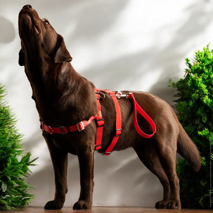 STURMFREI® Saver – Patentierte Front-Führung & Extra-Sicherung - für kleine bis mittlere Hunde