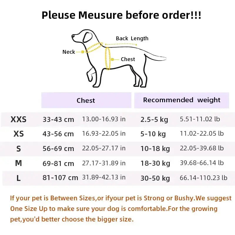 Einstellbare Hund Sommer Weste Stil Haustier Geschirr Atmungsaktive Hund Gehen Leine Mit Reflektierende Riemen Für Welpen Hund Outdoor Liefert Fellnasenliebe123