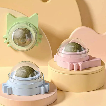 Katzenminze Lutscher Wandhalterung Drehbar Zahnpflege