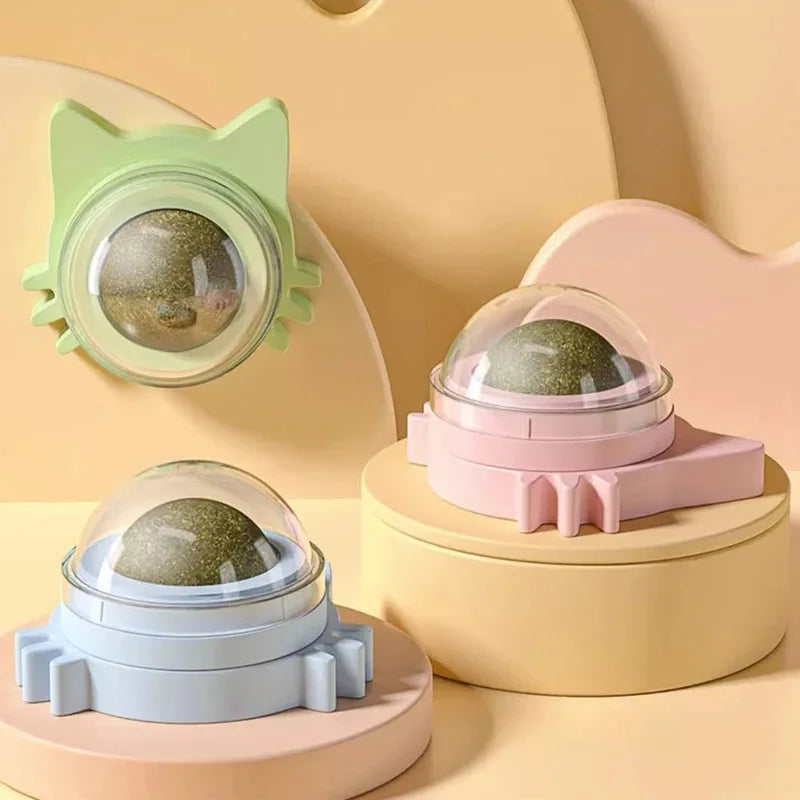 Katzenminze Lutscher mit Wandhalterung - Drehbarer Zahnpflege Ball für Katzen