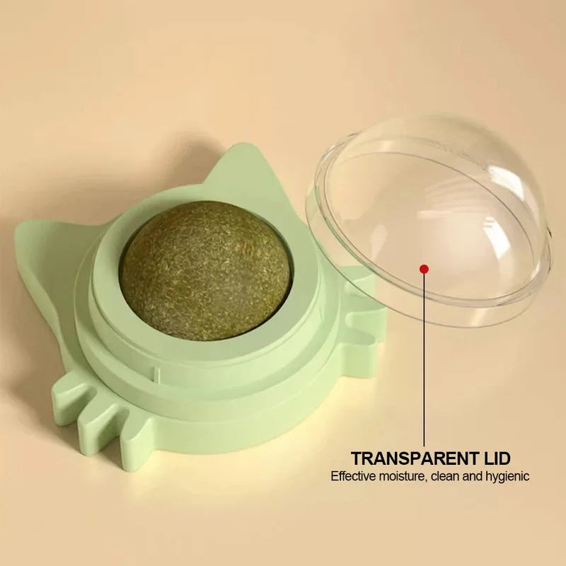 Katzenminze Lutscher mit Wandhalterung - Drehbarer Zahnpflege Ball für Katzen