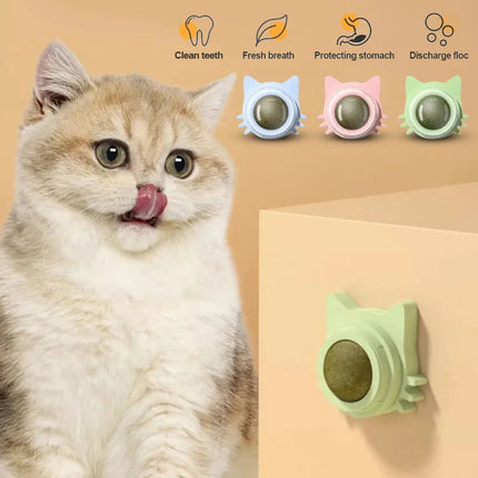 Katzenminze Lutscher Wandhalterung Drehbar Zahnpflege