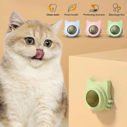 Katzenminze Lutscher mit Wandhalterung - Drehbarer Zahnpflege Ball für Katzen